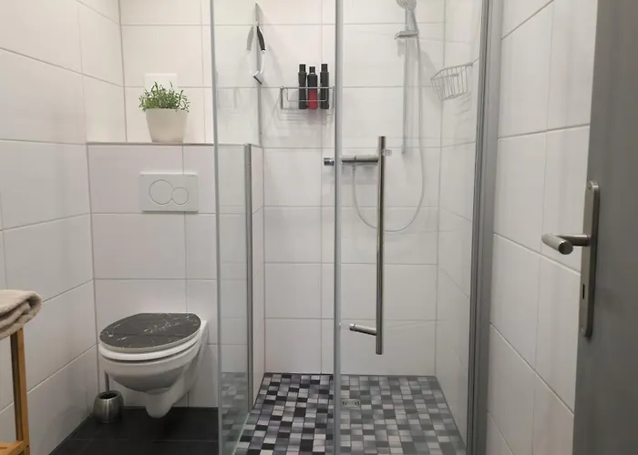 Apartamento Bachoase *