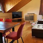 Bachoase Apartment