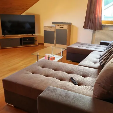 Apartment Bachoase *